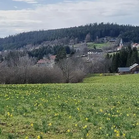 Le Grenier De Jules Et Marguerite Casa vacanze *