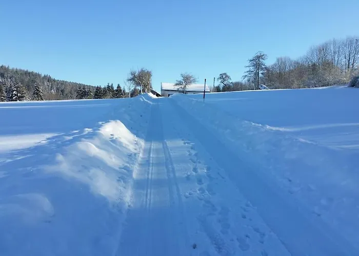 Le Grenier De Jules Et Marguerite *
