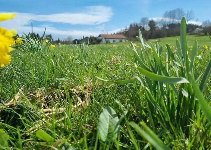 Le Grenier De Jules Et Marguerite Σπίτι διακοπών Liézey