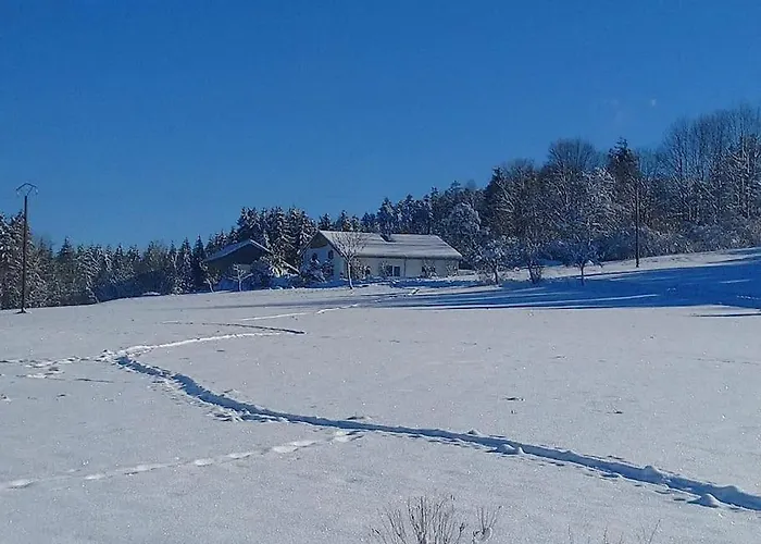 Le Grenier De Jules Et Marguerite * Liézey